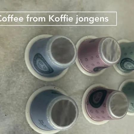 Joyjoyjoy The Red Sun Ecolicious In The Historic Canalhouse Tropics At The Canals From 1729 Affittacamere