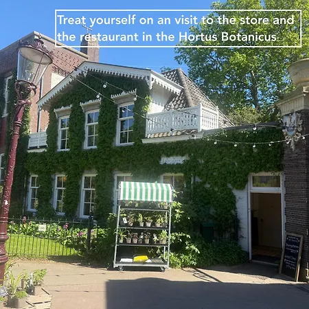 Joyjoyjoy The Red Sun Ecolicious In The Historic Canalhouse Tropics At The Canals From 1729