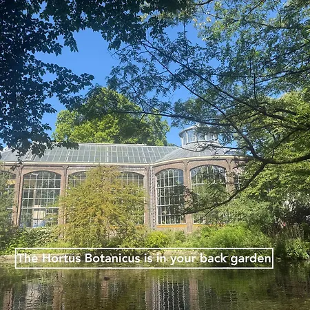 Joyjoyjoy The Red Sun Ecolicious In The Historic Canalhouse Tropics At The Canals From 1729