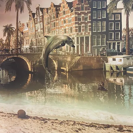 Joyjoyjoy The Red Sun Ecolicious In The Historic Canalhouse Tropics At The Canals From 1729 Pensjonat Amsterdam