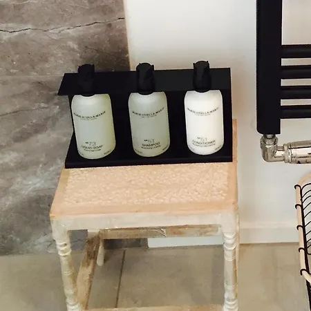 Joyjoyjoy The Red Sun Ecolicious In The Historic Canalhouse Tropics At The Canals From 1729 Pensión Ámsterdam